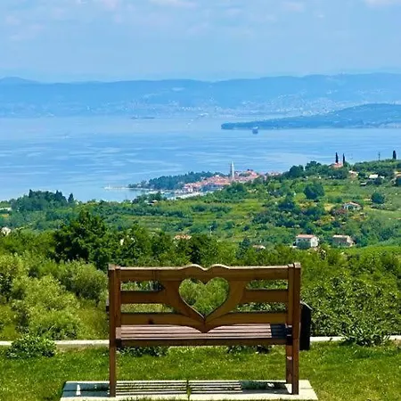 Noa Jacuzzi & Sauna Willa